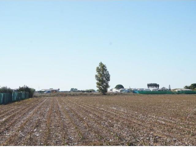 Local Comercial en venta en Barcarrota