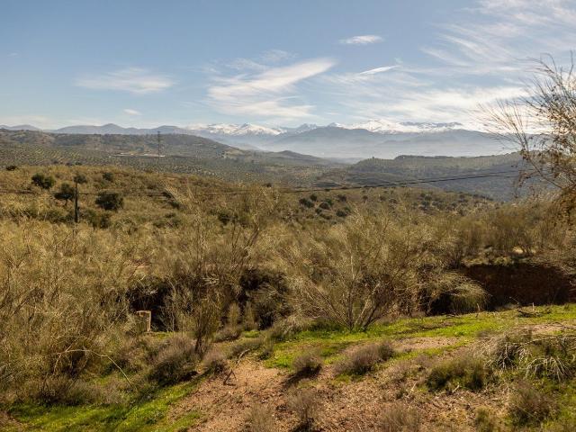 Terreno en venta en Granada, Centro - Sagrario