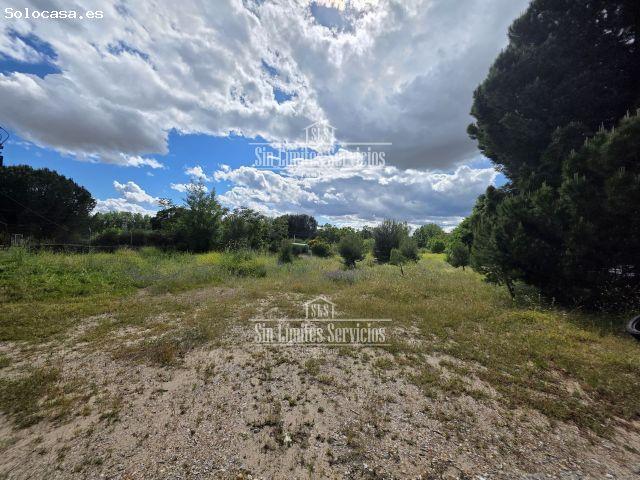Local Comercial en venta en Batres, Madrid