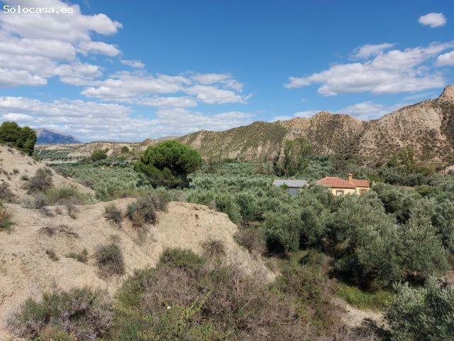 Local Comercial en venta en Comarca de Guadix, Andalucía