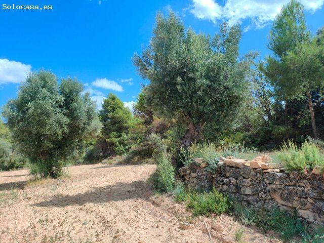 Local Comercial en venta en Bajo Aragón, Aragón