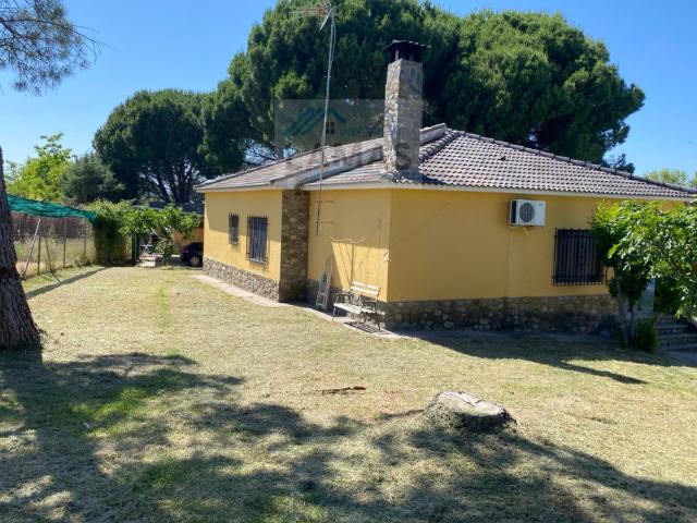 Terreno en venta en Belvís De Monroy, Extremadura