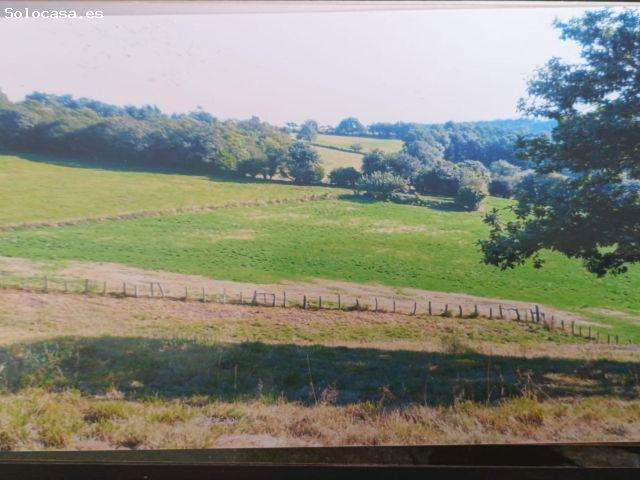 Local Comercial en venta en Allande, Asturias