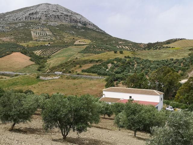 Terreno en venta en Antequera