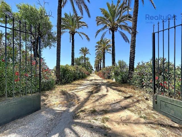 Terreno en venta en Bollullos De La Mitación, Andalucía