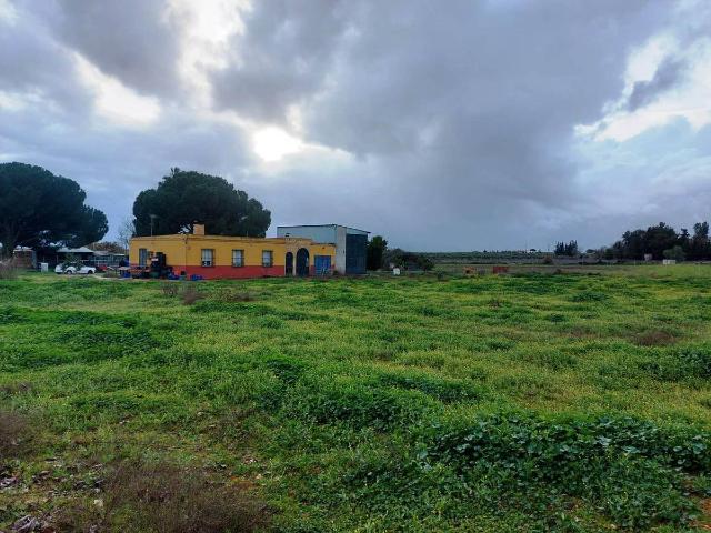 Terreno en venta en Bollullos De La Mitación, Andalucía