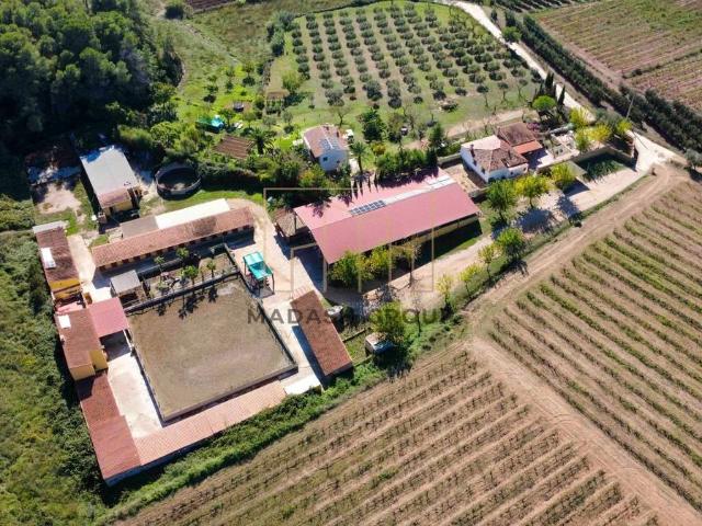 Chalet en venta en Baix Penedès, Catalunya