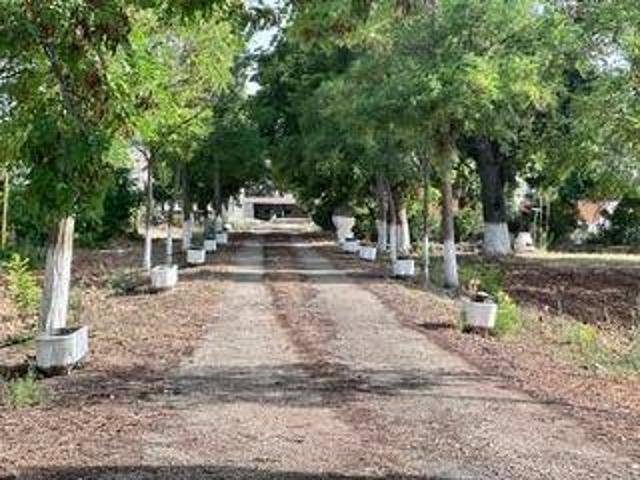 Terreno en venta en Brihuega, Guadalajara