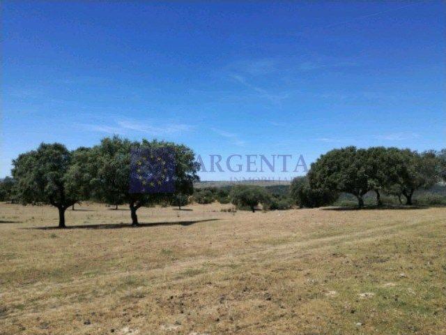 Chalet en venta en Brozas