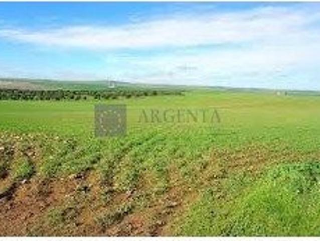 Terreno en venta en Brozas