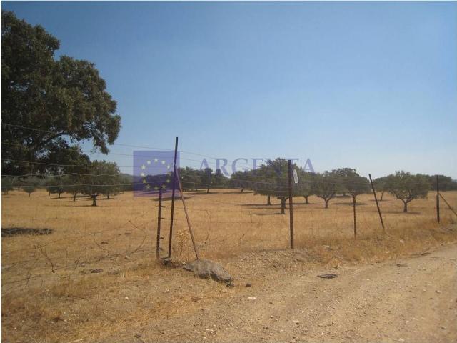 Terreno en venta en Brozas