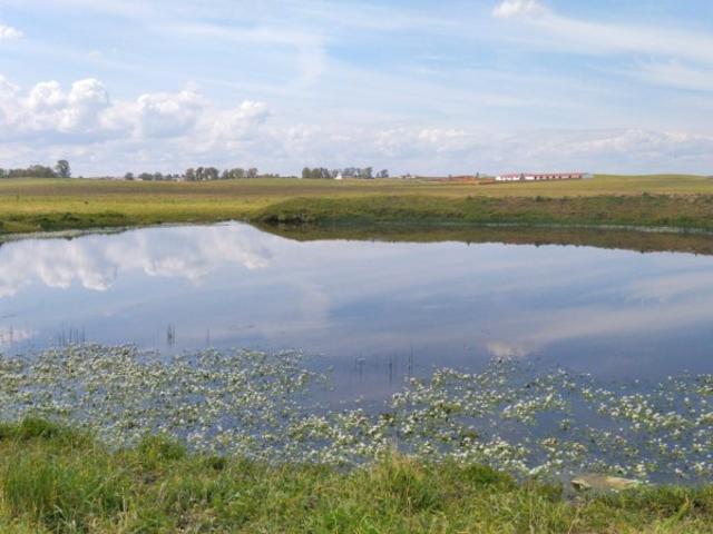 Terreno en venta en Brozas, Extremadura