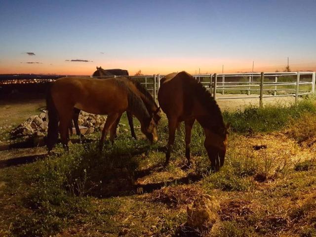 Terreno en venta en Burguillos, Sevilla