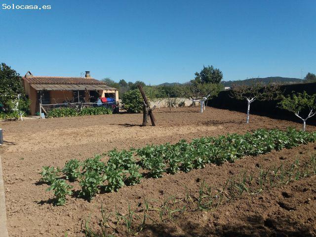 Local Comercial en venta en Calella de Palafrugell, Baix Empordà