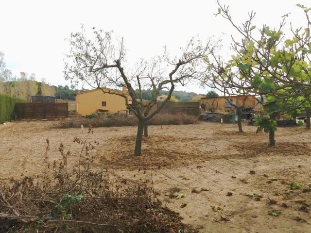 Local Comercial en venta en Calella de Palafrugell, Baix Empordà