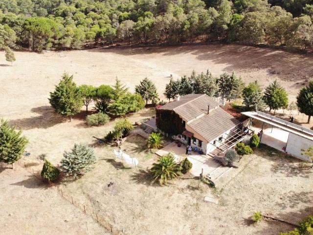 Terreno en venta en Calera De León, Extremadura