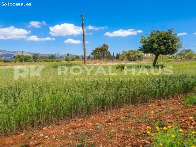 Local Comercial en venta en Raiguer, Baleares