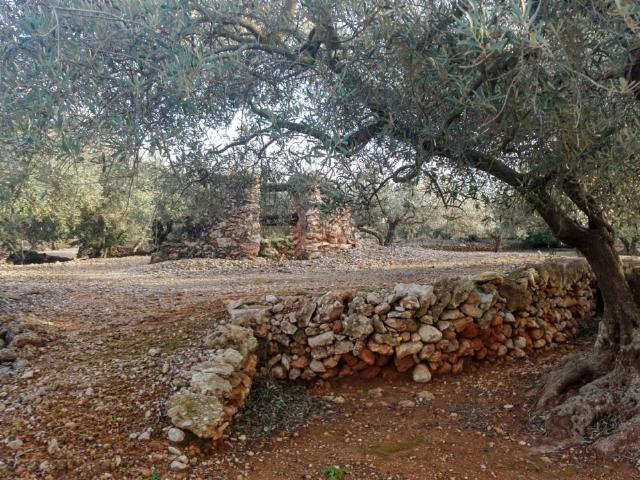 Terreno en venta en Camarles