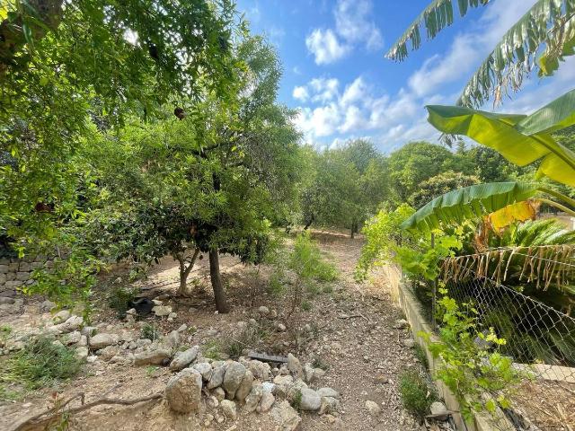 Terreno en venta en Campanet