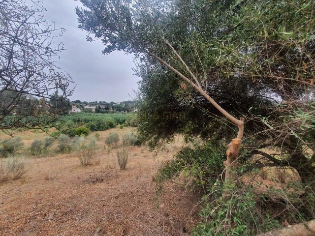 Terreno en venta en Málaga, Centro Histórico