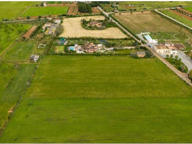Local Comercial en venta en Migjorn, Baleares