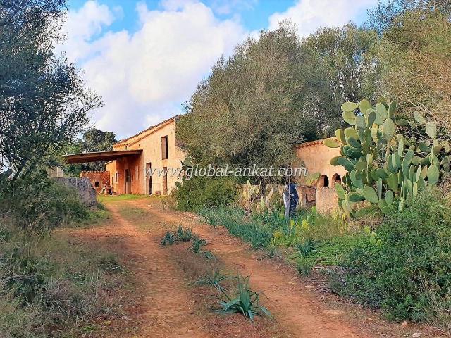 Terreno en venta en Migjorn, Baleares