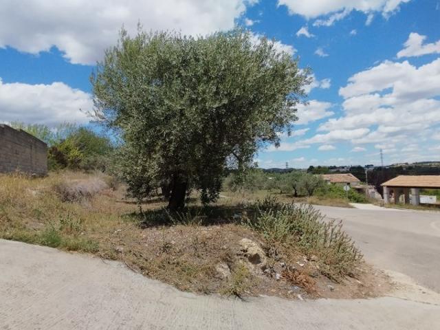 Terreno en venta en Torre Cerdà, la Costera