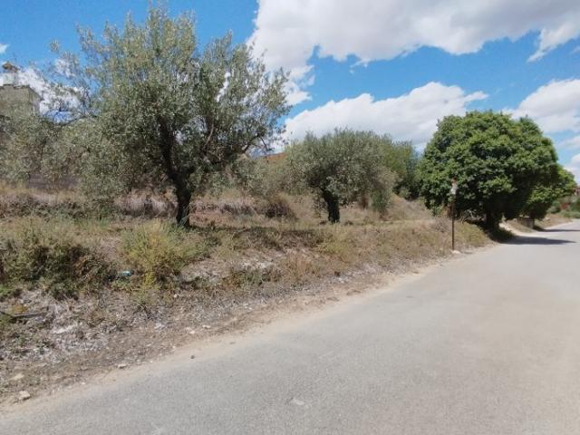 Terreno en venta en Torre Cerdà, la Costera