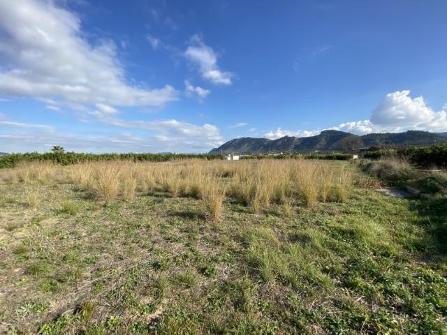 Terreno en venta en Torre Cerdà, la Costera