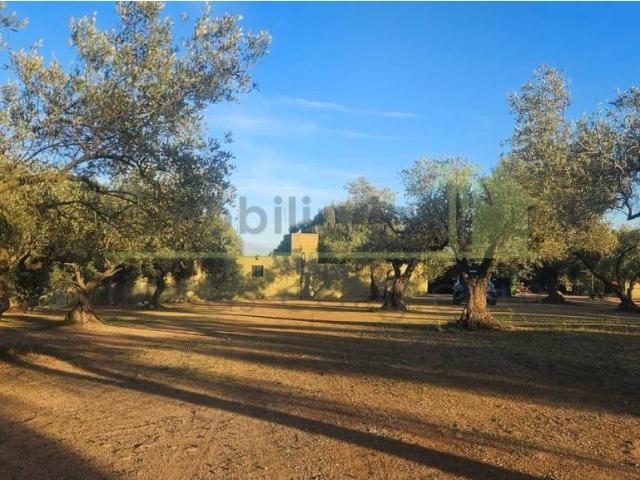 Terreno en venta en el Baix Maestrat, Valencia