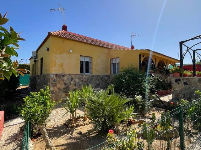 Terreno en venta en Cantillana, Andalucía