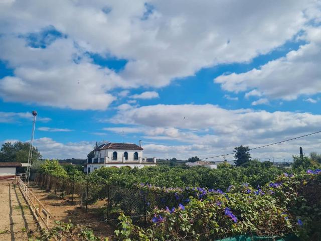 Terreno en venta en Cantillana, Andalucía