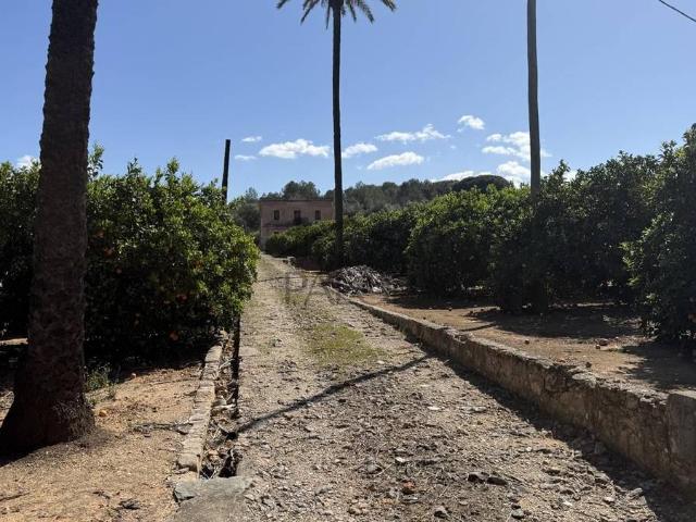 Terreno en venta en la Ribera Alta, Valencia