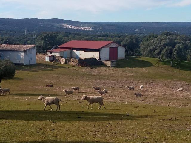 Terreno en venta en Cardeña, Andalucía