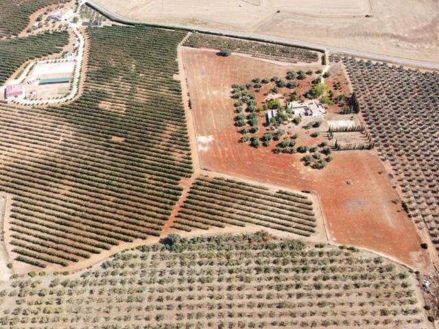 Terreno en venta en Carmona, Andalucía