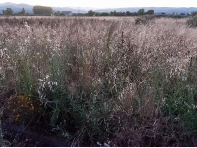 Local Comercial en venta en El Bierzo, Castilla y León