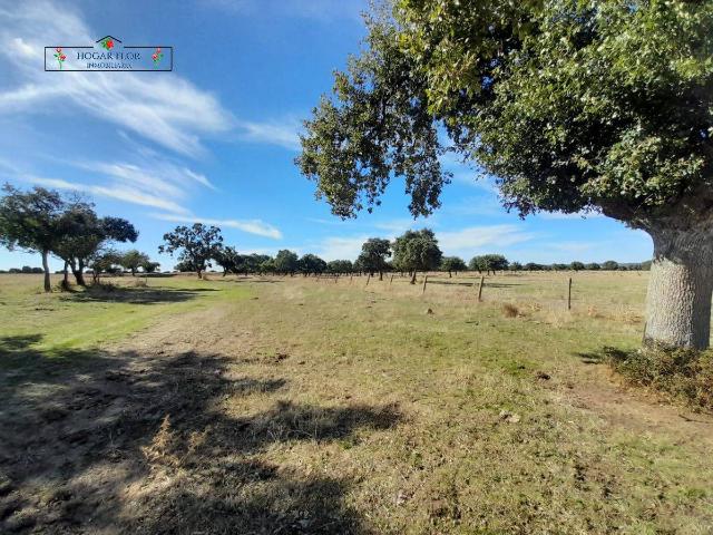 Terreno en venta en Carrascal Del Obispo