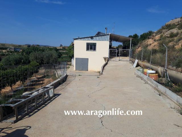 Terreno en venta en Bajo Aragón-Caspe / Baix Aragó-Casp, Aragón