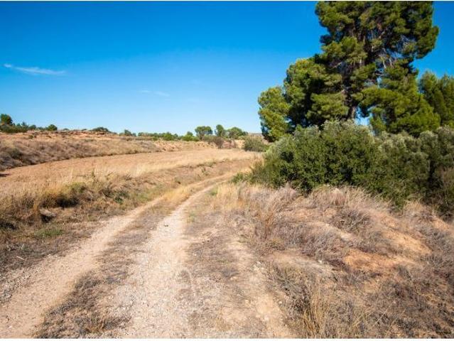 Local Comercial en venta en Bajo Aragón-Caspe / Baix Aragó-Casp, Aragón