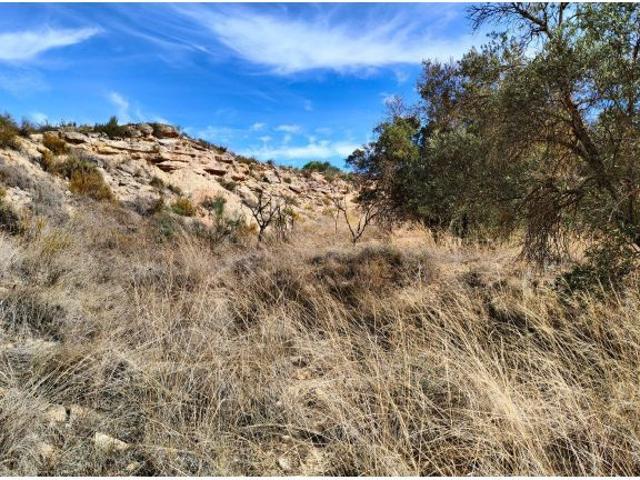 Local Comercial en venta en Bajo Aragón-Caspe / Baix Aragó-Casp, Aragón