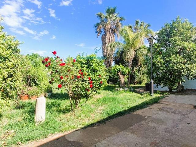 Terreno en venta en Alt Penedès, Catalunya