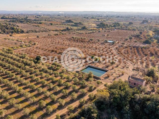 Terreno en venta en Baix Camp, Catalunya