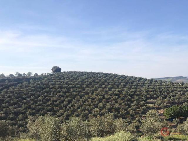 Terreno en venta en Solana, Castril