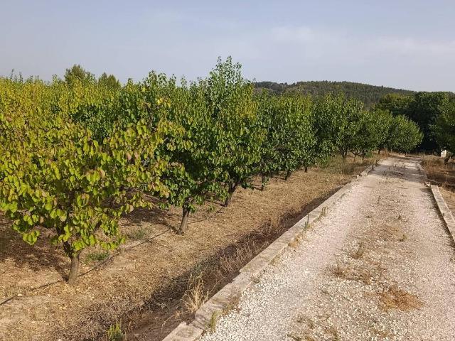 Terreno en venta en Campillo y Suertes, Cehegín