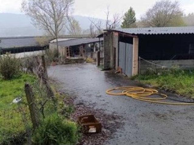 Local Comercial en venta en O Outeiro, Celanova