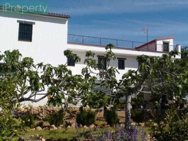 Terreno en venta en el Puig, Baix Penedès