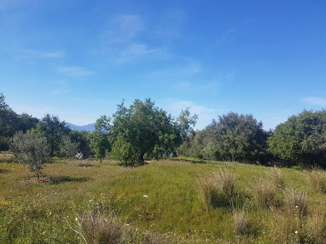 Terreno en venta en Alhaurín El Grande, Barrio de San Antón