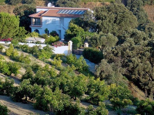 Terreno en venta en Alhaurín El Grande, Barrio de San Antón