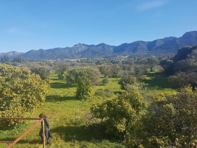 Terreno en venta en Alhaurín El Grande, Barrio de San Antón