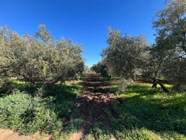 Terreno en venta en Antequera, Andalucía